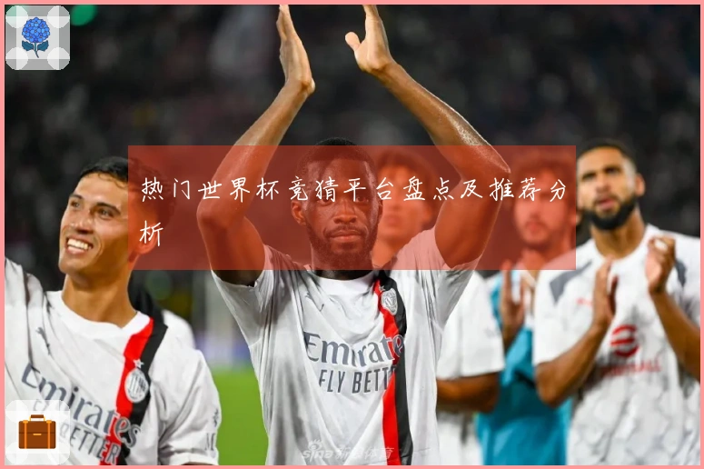 热门世界杯竞猜平台盘点及推荐分析