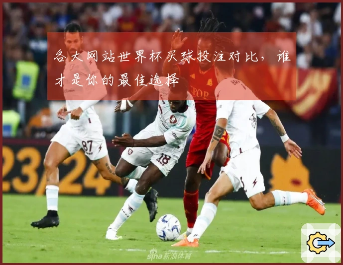 各大网站世界杯买球投注对比，谁才是你的最佳选择