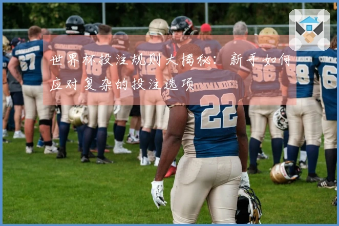 世界杯投注规则大揭秘：新手如何应对复杂的投注选项