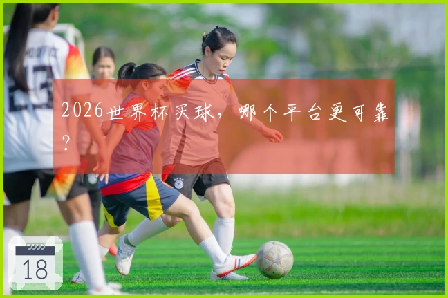 2026世界杯买球，哪个平台更可靠？