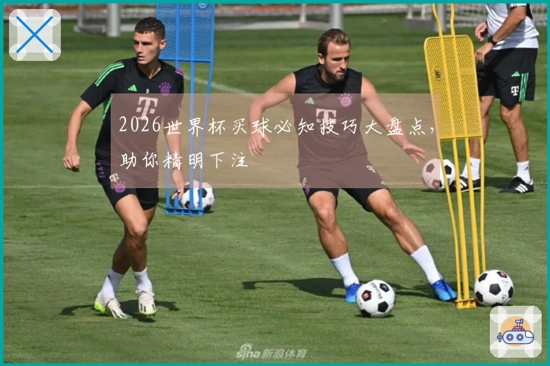 2026世界杯买球必知技巧大盘点，助你精明下注