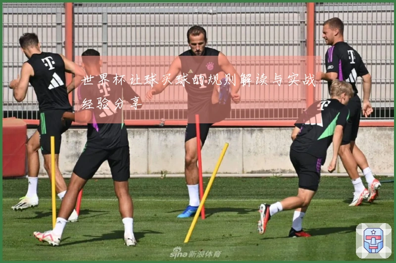 世界杯让球买球的规则解读与实战经验分享