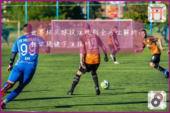 世界杯买球投注规则全方位解析，教你稳健下注技巧