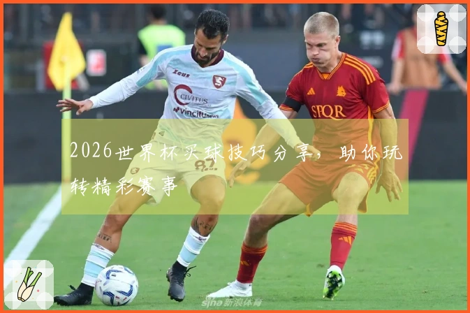 2026世界杯买球技巧分享，助你玩转精彩赛事