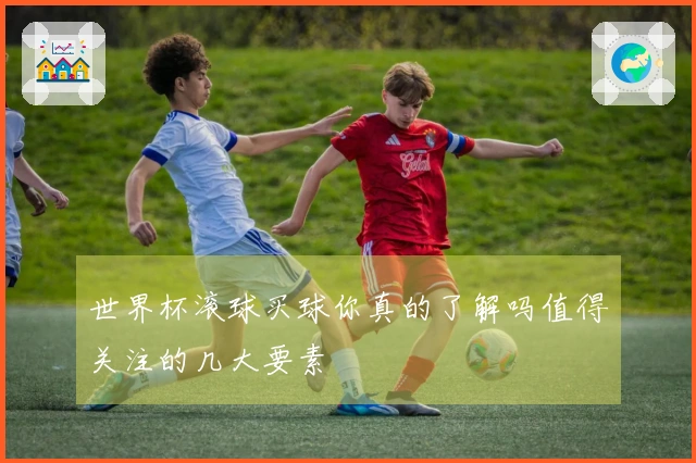 世界杯滚球买球你真的了解吗值得关注的几大要素