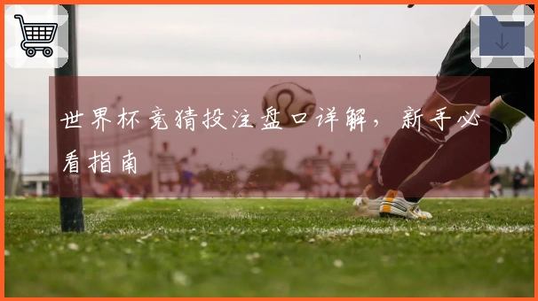 世界杯竞猜投注盘口详解，新手必看指南