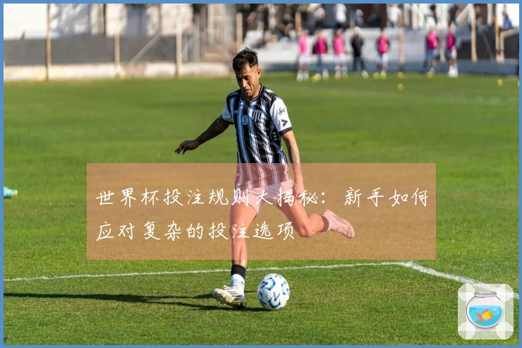 世界杯投注规则大揭秘：新手如何应对复杂的投注选项